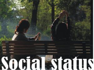 Social Status full explained overview