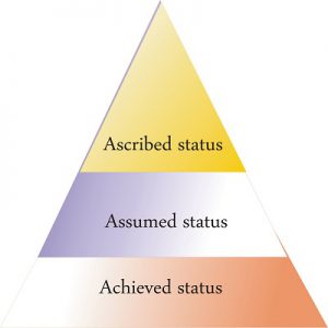 Social Status full explained overview