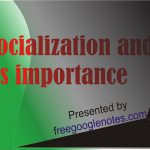 concept of socialization