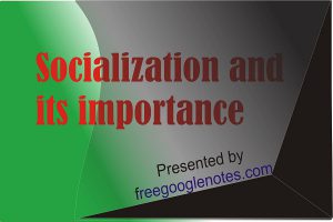 concept of socialization