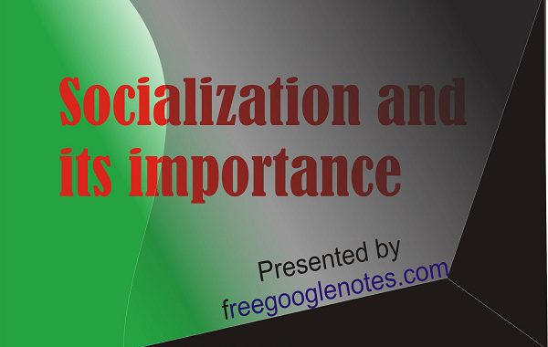 concept of socialization